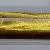 Pelikan M200 Gold-marbled
