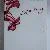 Pelikan M205 Star Ruby
