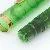 Pelikan M250 (Old Style) Green transparent
