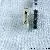 Pelikan M250 (Old Style) Clear transparent
