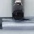 Pelikan M101N Blue Grey
