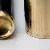 Pelikan P30 Black gold
