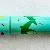 Pelikan P20 Palm and parrot

