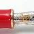 Pelikan M800 (Old Style) Golden Phoenix
