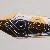 Pelikan M800 Brown-black
