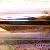 Pelikan M800 Demonstrator English etchings
