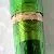 Pelikan M800 Green transparent
