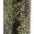 Pelikan M800 Cherry Blossom
