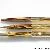 Pelikan 500 Tortoise brown-striped - Gold doublé
