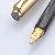 Pelikan M30 Black Rolled Gold
