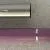 Gimborn Major (d) Purple
