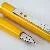 Gimborn Major Junior (a) Yellow
